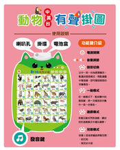 Load image into Gallery viewer, 有聲掛圖系列