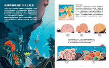 Load image into Gallery viewer, 大堡礁