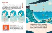 Load image into Gallery viewer, 大堡礁