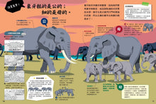 Load image into Gallery viewer, 動物比較圖鑑 套書:《公的還是母的?》《哪個是哪個?》