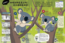 Load image into Gallery viewer, 動物比較圖鑑 套書:《公的還是母的?》《哪個是哪個?》