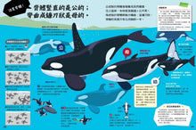 Load image into Gallery viewer, 動物比較圖鑑 套書:《公的還是母的?》《哪個是哪個?》