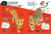 Load image into Gallery viewer, 動物比較圖鑑 套書:《公的還是母的?》《哪個是哪個?》