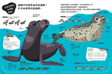 Load image into Gallery viewer, 動物比較圖鑑 套書:《公的還是母的?》《哪個是哪個?》