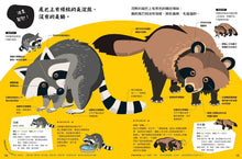 Load image into Gallery viewer, 動物比較圖鑑 套書:《公的還是母的?》《哪個是哪個?》