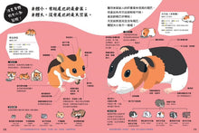 Load image into Gallery viewer, 動物比較圖鑑 套書:《公的還是母的?》《哪個是哪個?》