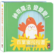 Load image into Gallery viewer, 神奇魔法變變變!百葉窗拉拉書