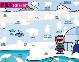 我的第一本IQ貼紙遊戲書 (全套10本)
