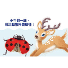 Load image into Gallery viewer, 三角形書：這是誰
