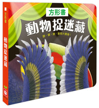 Load image into Gallery viewer, 方形書：動物捉迷藏
