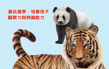 Load image into Gallery viewer, 方形書：動物魔術秀
