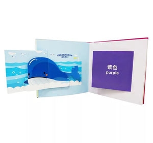 情景認知立體書系列：對比 x 形狀 x 數字 x 顏色