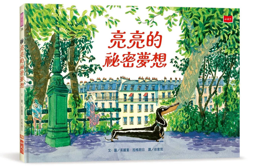 亮亮的祕密夢想