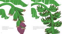 Load image into Gallery viewer, 香蕉從哪裡來？
