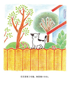 花花是三毛貓