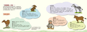 是誰把驢子變斑馬？加薩動物園的故事