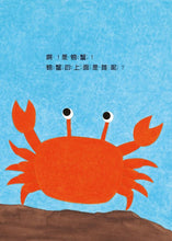 Load image into Gallery viewer, 我的後面是誰呢？小樹林 x 大海 x 小河邊 x 原野 x 熱帶草原 (全套五冊)
