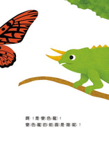 Load image into Gallery viewer, 我的後面是誰呢？小樹林 x 大海 x 小河邊 x 原野 x 熱帶草原 (全套五冊)
