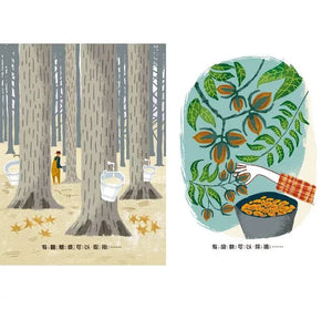 感謝有樹：樹木帶來令人驚喜的美好生活