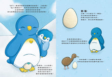 Load image into Gallery viewer, 企鵝皮皮的冰雪大冒險：趣味知識找一找

