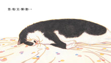 Load image into Gallery viewer, 什麼都不做的貓
