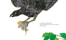Load image into Gallery viewer, 田鼠尼可，你去了哪裡？
