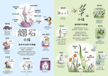 Load image into Gallery viewer, 超能力小孩圖鑑：38個不可思議的小孩
