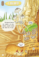 Load image into Gallery viewer, 蟲蟲洞：我的蟲蟲觀察日記
