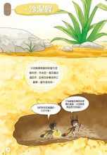 Load image into Gallery viewer, 蟲蟲洞：我的蟲蟲觀察日記
