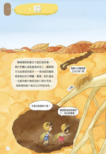 Load image into Gallery viewer, 蟲蟲洞：我的蟲蟲觀察日記
