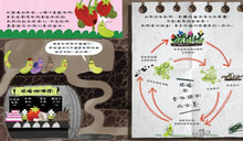 Load image into Gallery viewer, 不要叫我鼻涕蟲！：關於蛞蝓的科學真相
