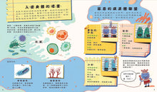 Load image into Gallery viewer, 細胞小偵探：誰害菲菲肚子痛？
