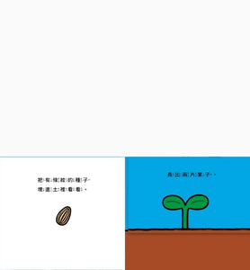 花開了！