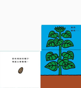 花開了！