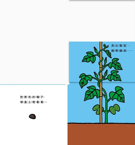 花開了！