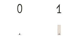 森林裡的數字