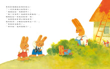 Load image into Gallery viewer, 橘色的旗子
