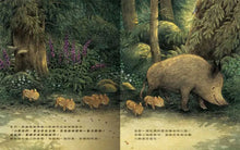 Load image into Gallery viewer, 小野豬迷路了
