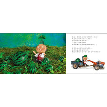 Load image into Gallery viewer, 西瓜
