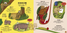 Load image into Gallery viewer, 超級便便便：糞便與它們的神奇妙用
