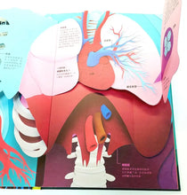 Load image into Gallery viewer, 哇！人體百科變立體了
