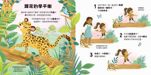 動物學校(2)體育課：跟臭鼬學倒立，跟花豹學平衡，跟犰狳學翻滾！