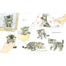Load image into Gallery viewer, 你可以忘記我

