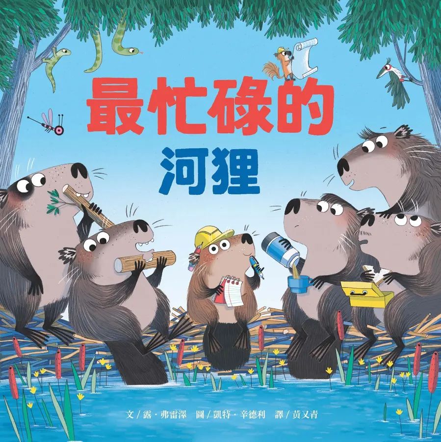 最忙碌的河狸