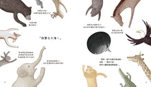 Load image into Gallery viewer, 谷谷鯨：森林裡的夢，大海裡的呼吸
