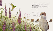Load image into Gallery viewer, 風吹來的煩惱／風中的期待
