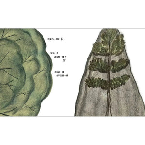 在詩的季節裡牽你的手
