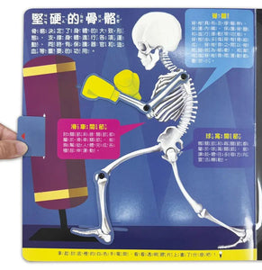 兒童生理啟蒙3D立體書：藏在身體的祕密
