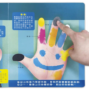 兒童生理啟蒙3D立體書：藏在身體的祕密