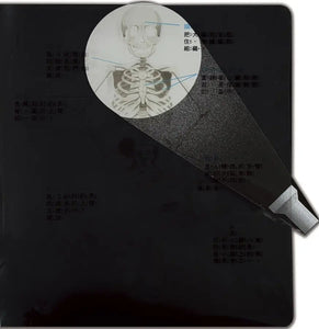 兒童生理啟蒙3D立體書：藏在身體的祕密